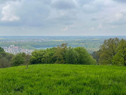 22-04-25 12-46-25 0629